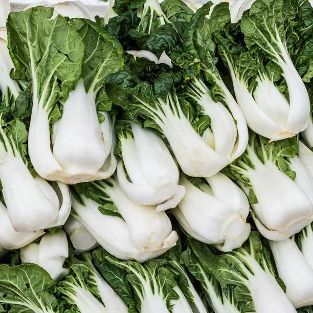 From Seed to Harvest: A guide to growing Bok choy