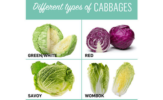 There are over 400 different varieties of cabbage grown throughout the world