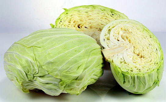 The Season Of Cabbage