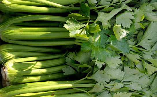 Celery contains essential nutrients like potassium and calcium that support a healthy heart.