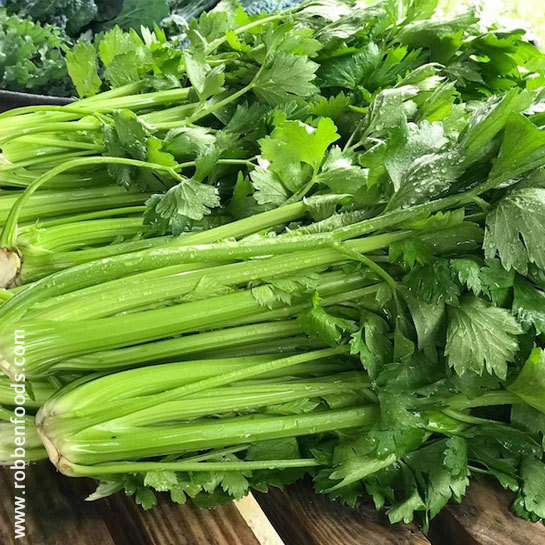 The Season of Chinese Celery Farming