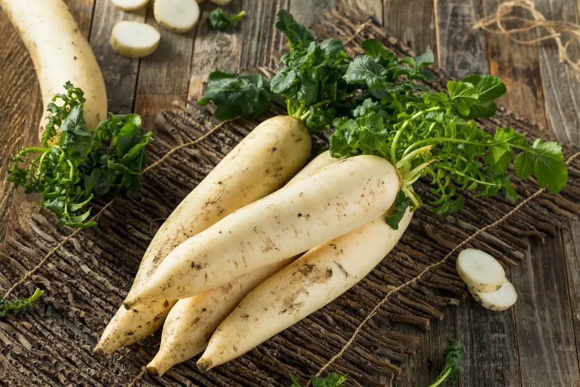 Daikon or Radish?