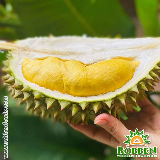 Durian Fruit From Vietnam