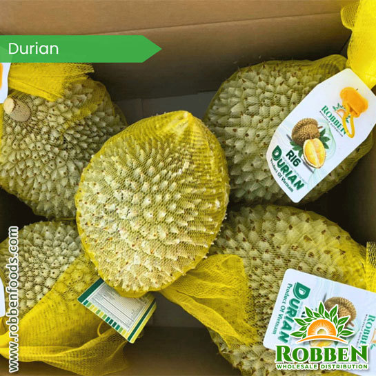 Durian Fruit From Vietnam