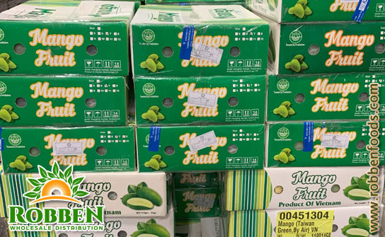 Elephant mango (Xoài Tượng) packed in 10lbs per box