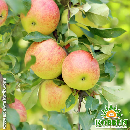 Fuji Apples