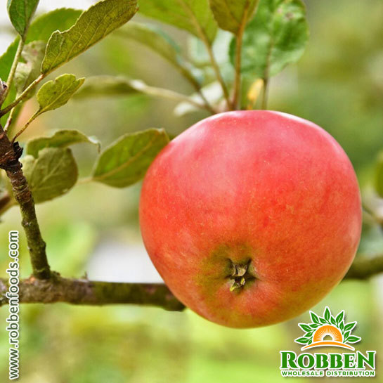 Fuji Apples