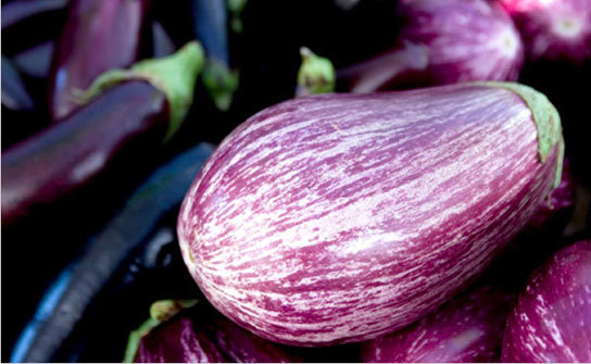 The Enigmatic Graffiti Eggplant: A Delicious Work of Art for Your Plate