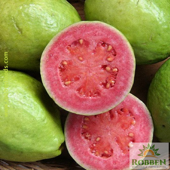 Thai Guava - A Tropical Delight Thriving in Florida