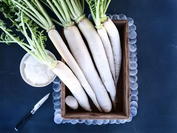 Japanese Daikon