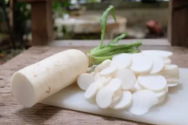 Japanese Daikon