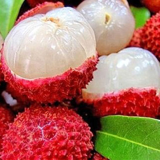 Lychee: A Delicious Tropical Fruit