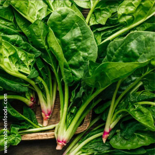 GROWING SPINACH