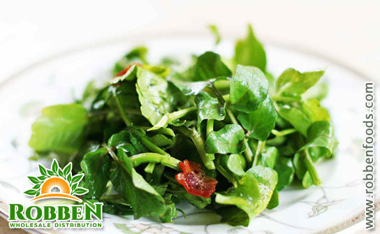 Exploring the Nutrition and Health Benefits of Watercress